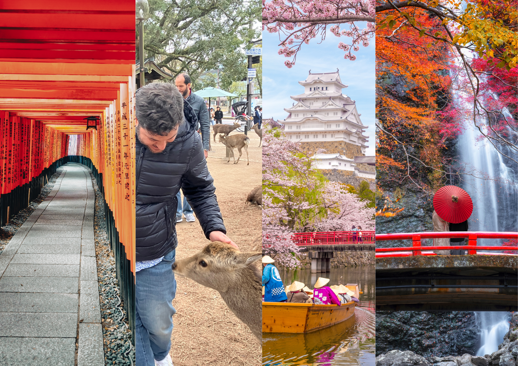 15 best day trips from Osaka including Kyoto, Nara, Himeji, and Minoh