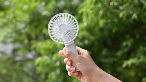 Portable fan