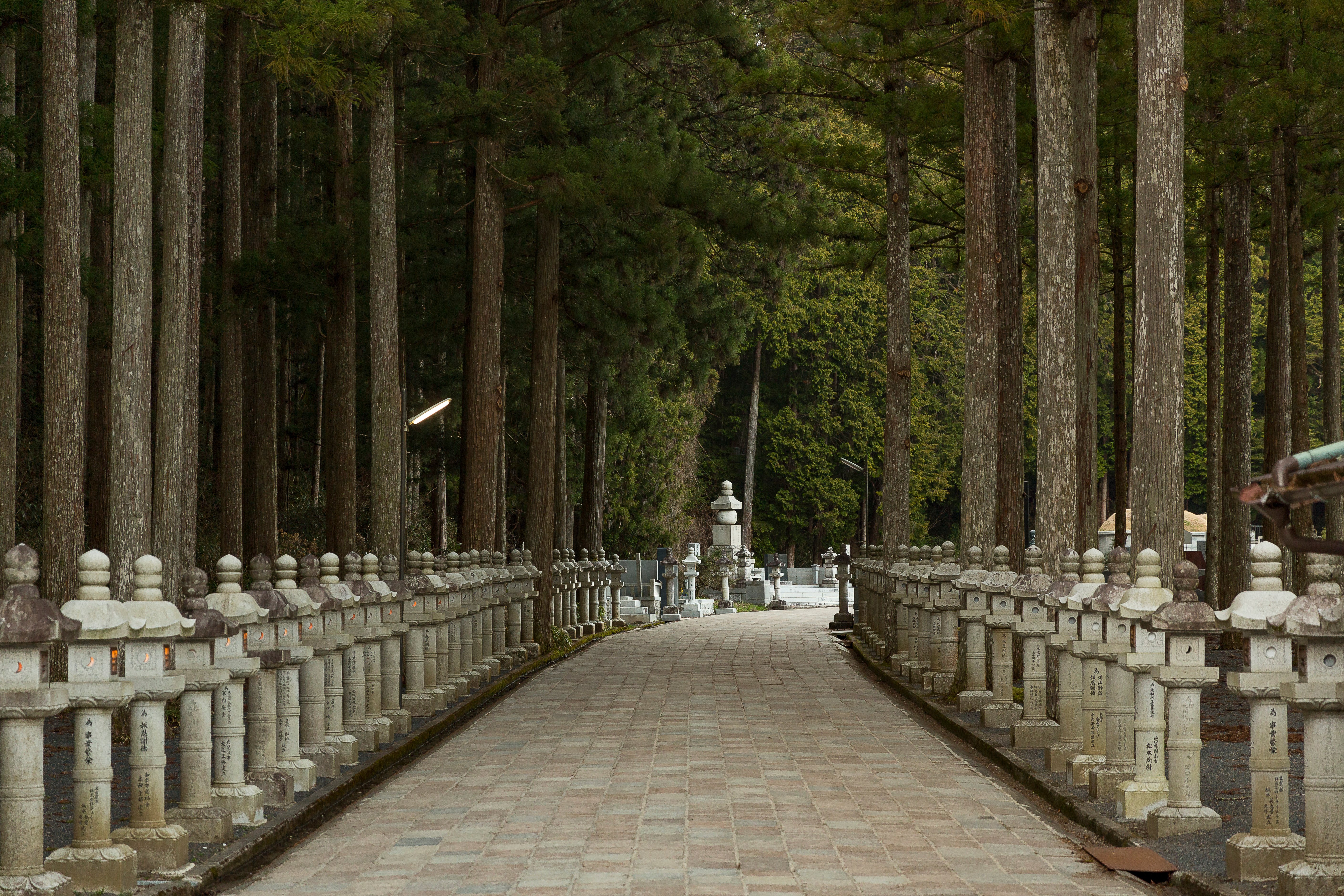 Okunoin cemetery forest path with ancient stone memorials in Mount Koya