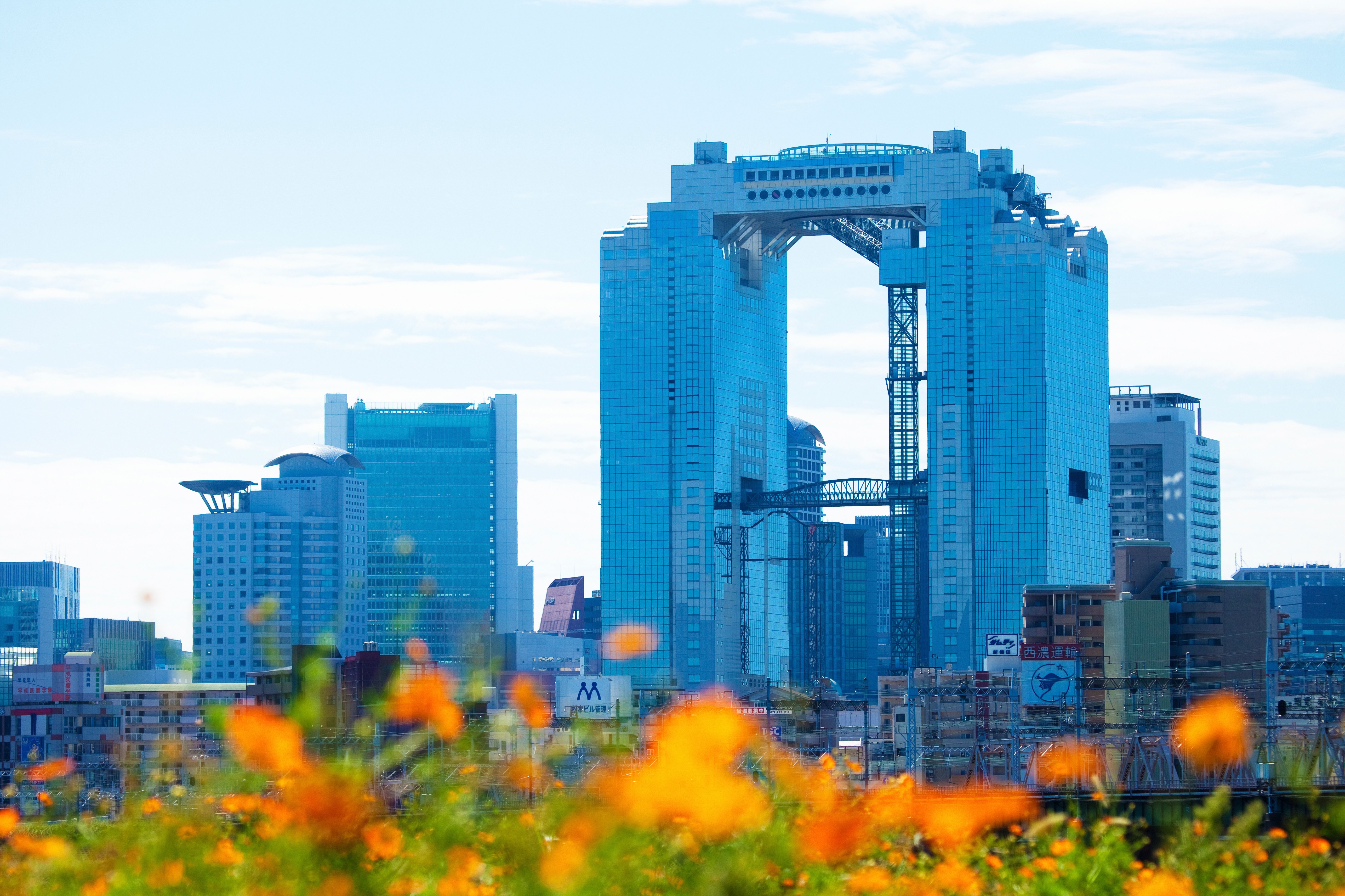 Umeda Sky Building rising above the Osaka skyline, with colorful flowers in the foreground.
