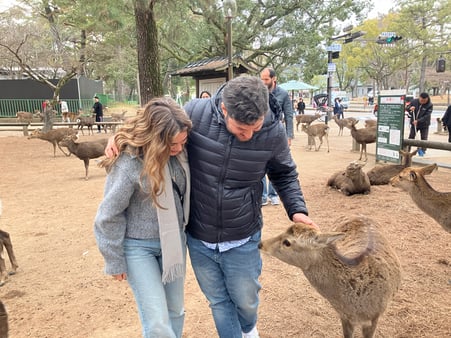 Pet the deer in Nara