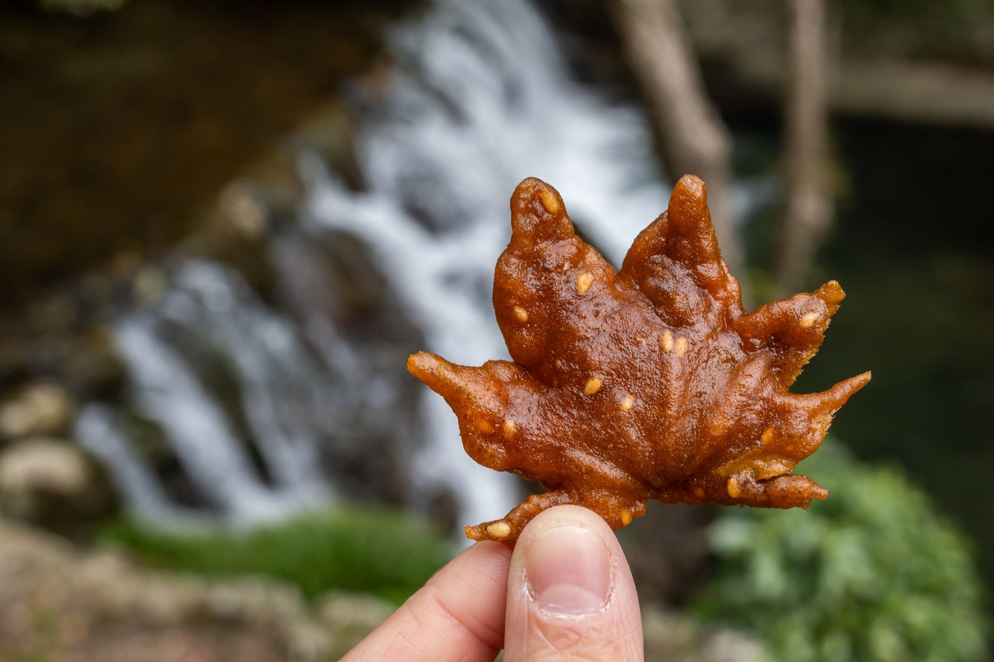 Momiji tempura fried maple leaf snack in Minoh, Osaka.