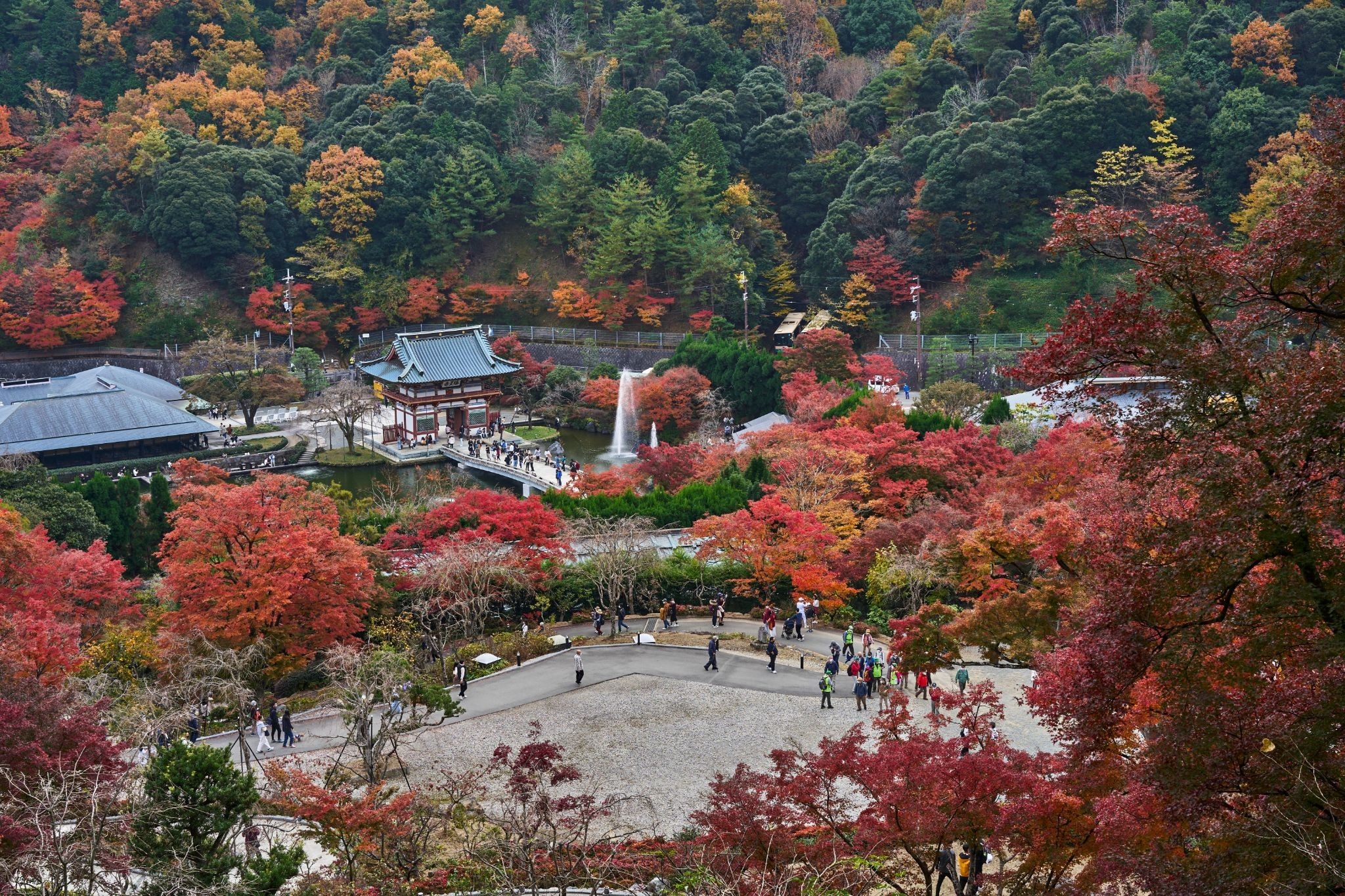 Katsuoji Temple surrounded by red and orange autumn foliage in Osaka.