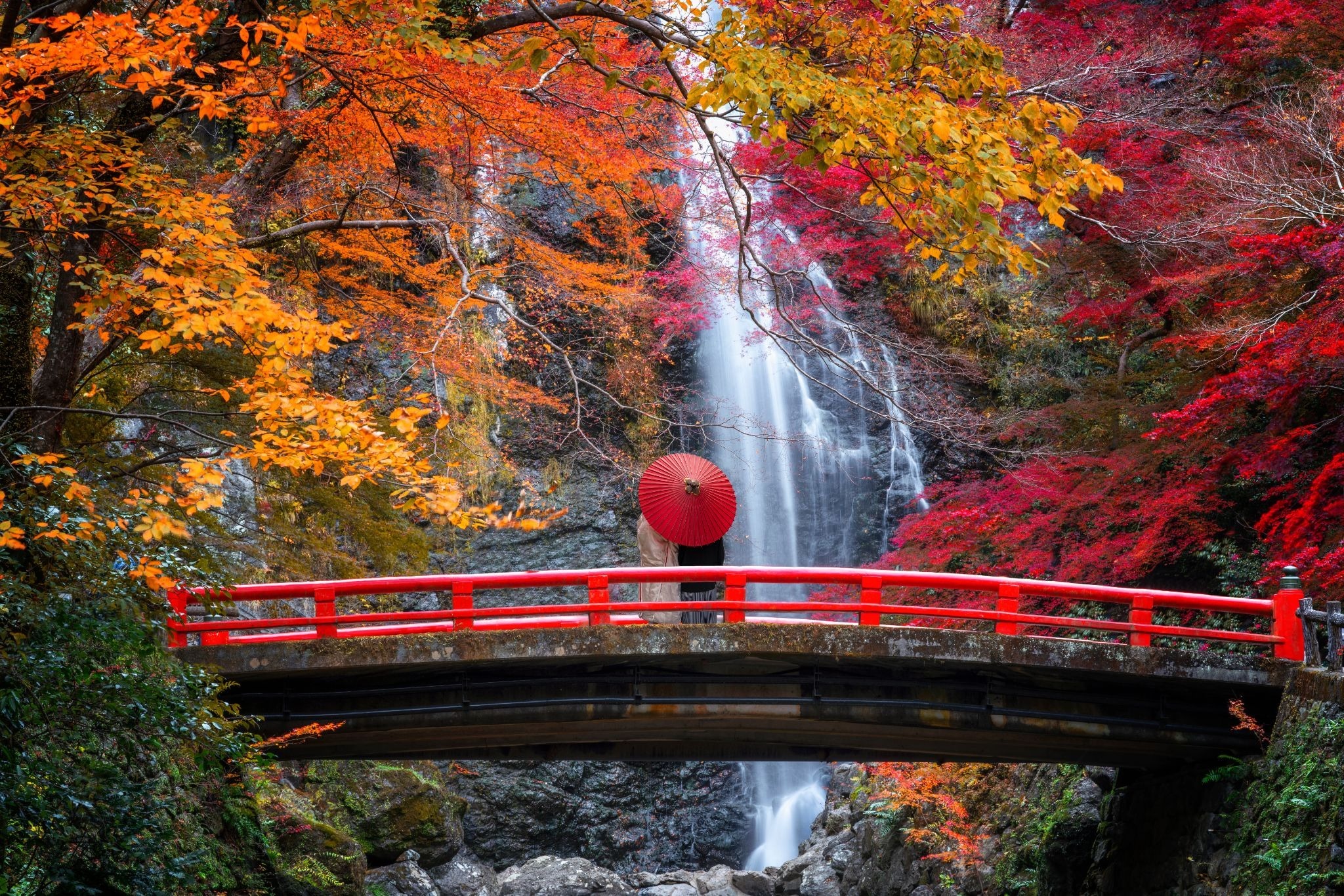 Minoh Falls surrounded by lush forest in Minoh Park, Osaka.