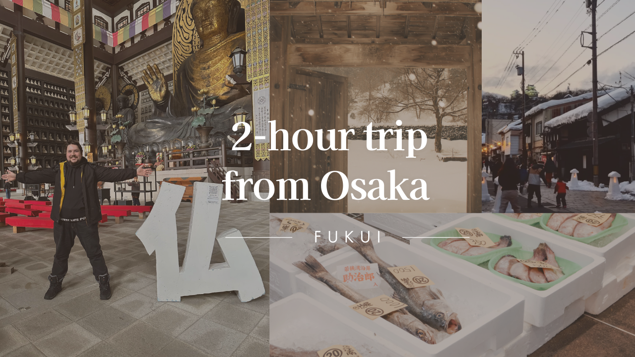 Beyond the Cities: Cultural Journey in Fukui