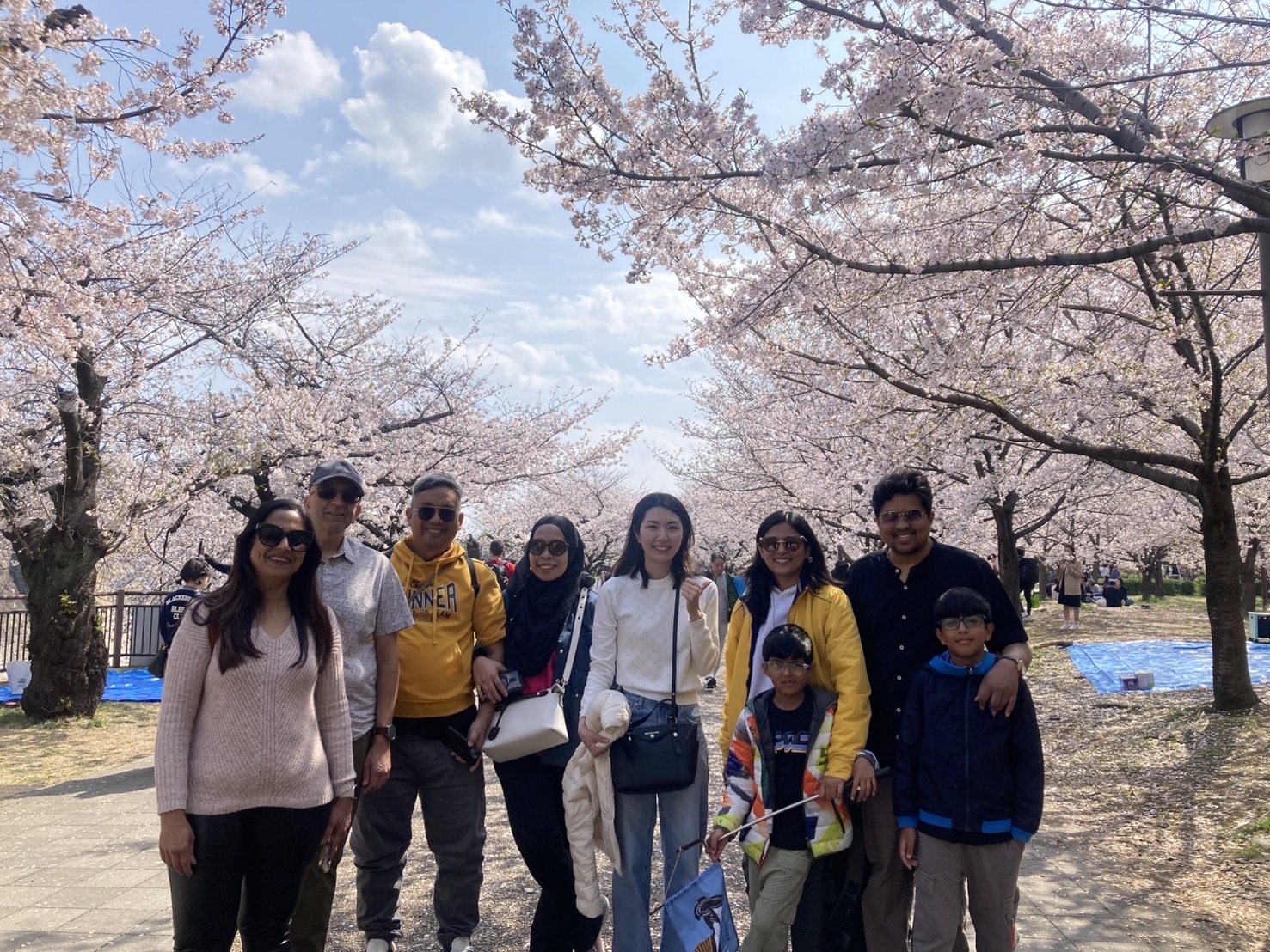 Cherry Blossom Season in Osaka: Best Sakura Spots to Visit