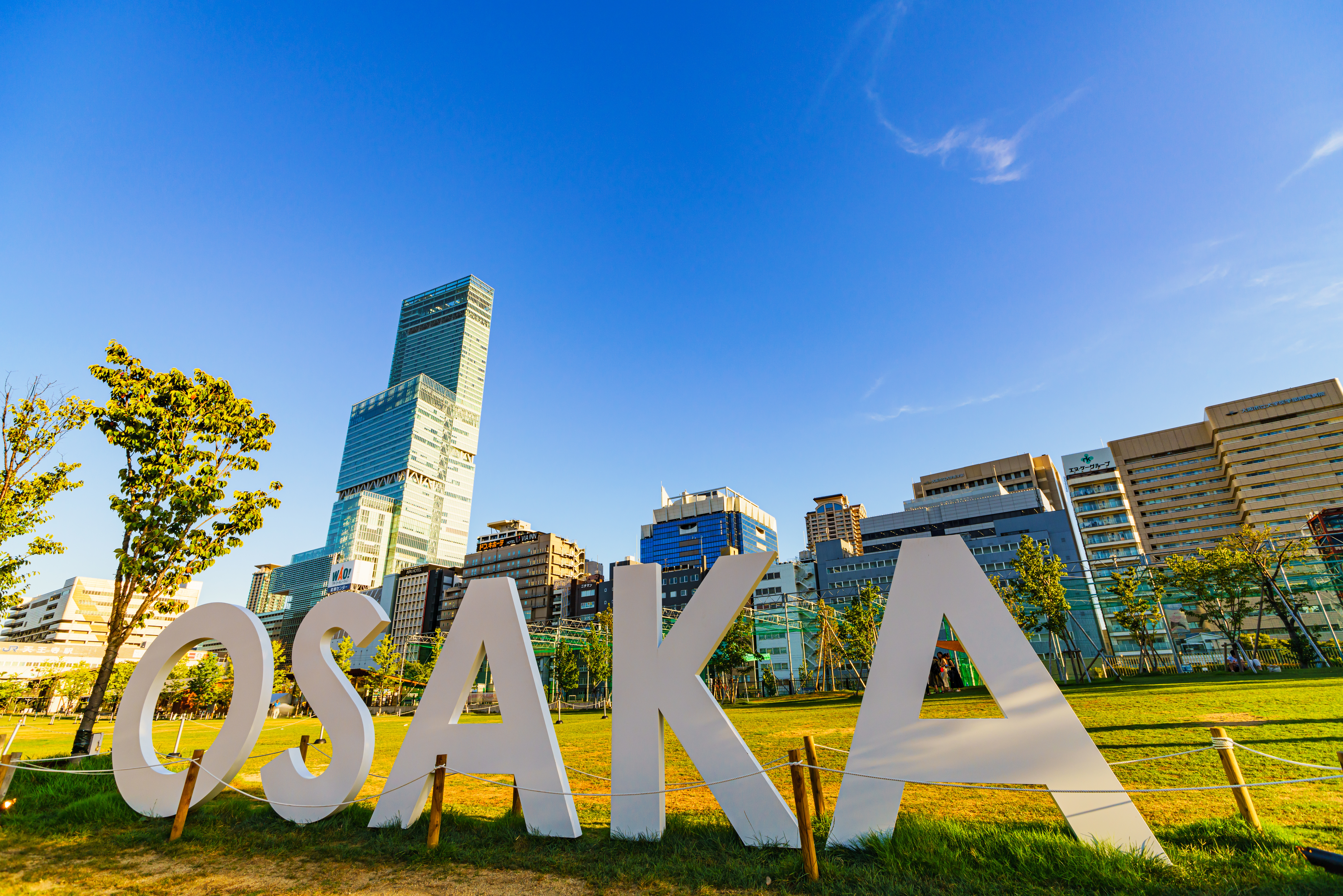 Ultimate Guide to Osaka Towers: Tsutenkaku, Umeda Sky Building & More