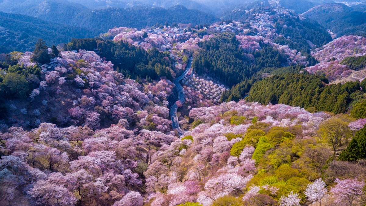 Private Nara tour beyond the main tourist spots